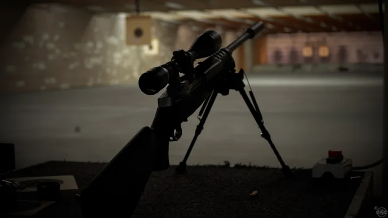 setup-ruger.223